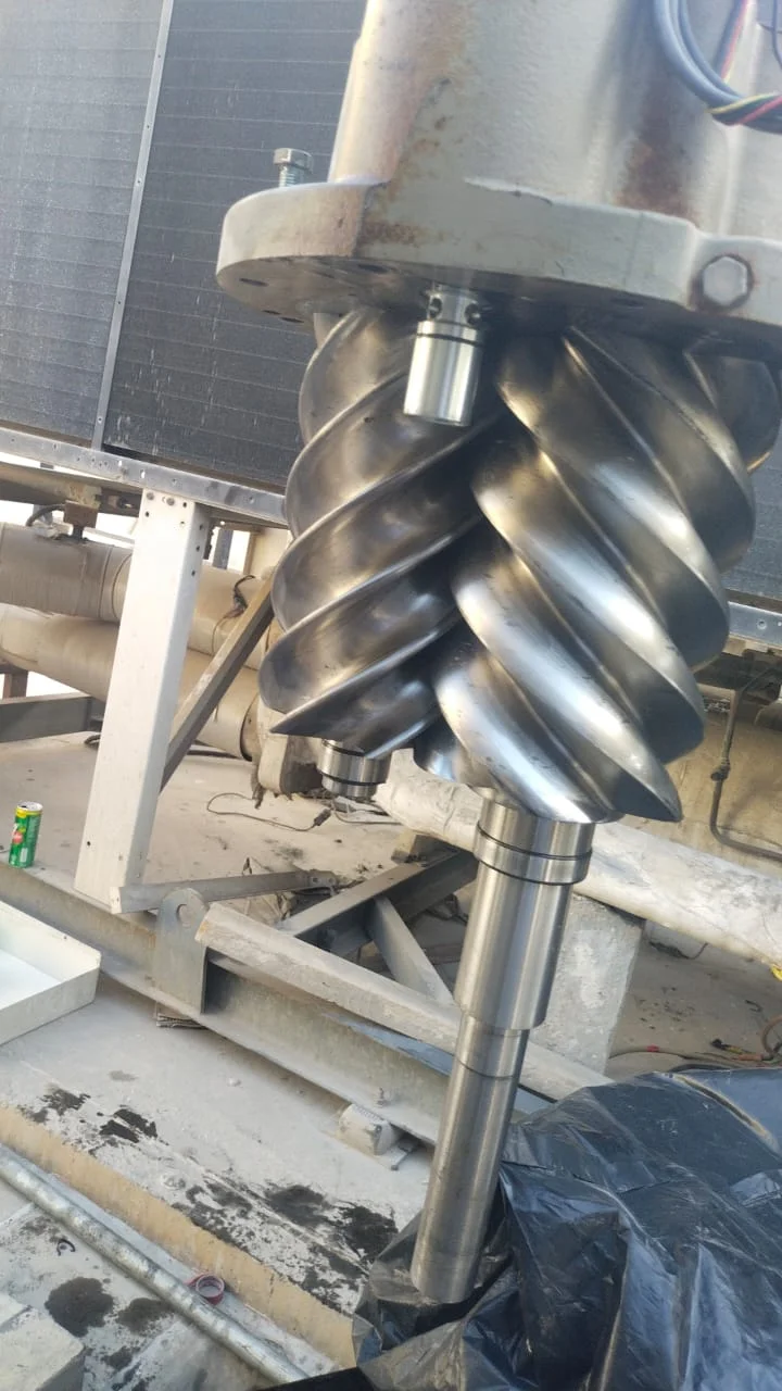 Screw compressor internal components cleaning